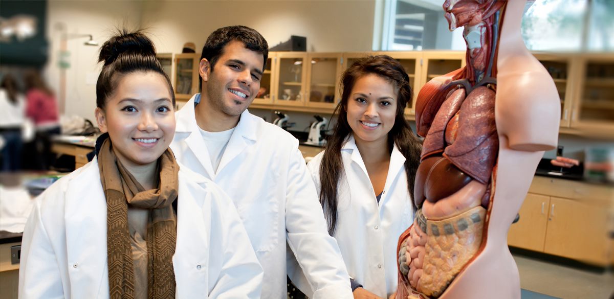 Lab students in anatomy class