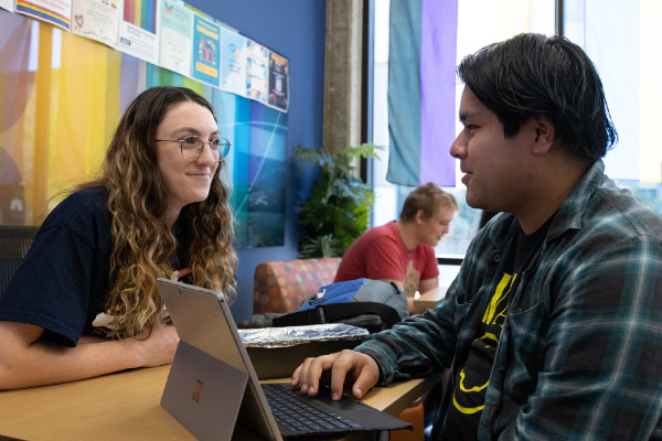 Two humans working on laptop